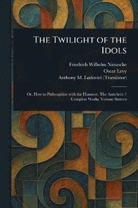 bokomslag Twilight of the Idols