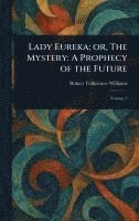 bokomslag Lady Eureka; or, The Mystery