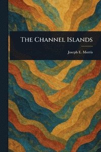 bokomslag Channel Islands