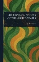 bokomslag Common Spiders of the United States