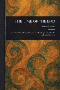bokomslag Time of the End