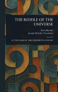 bokomslag Riddle of the Universe