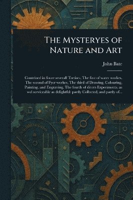 bokomslag Mysteryes of Nature and Art