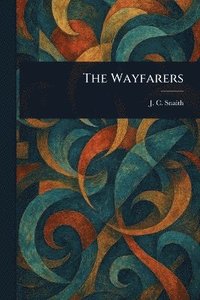 bokomslag Wayfarers