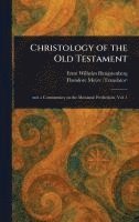 bokomslag Christology of the Old Testament