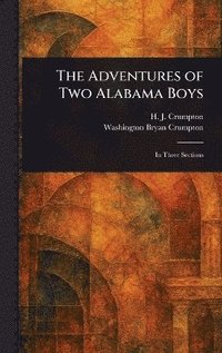 bokomslag Adventures of Two Alabama Boys