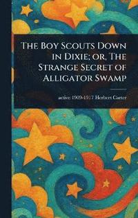 bokomslag Boy Scouts Down in Dixie; or, The Strange Secret of Alligator Swamp
