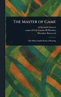 bokomslag Master of Game