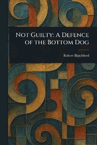 bokomslag Not Guilty
