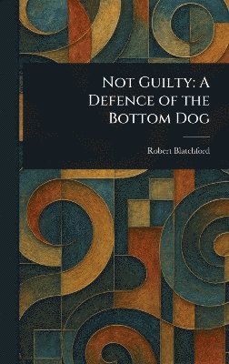 bokomslag Not Guilty