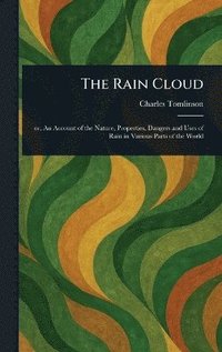 bokomslag Rain Cloud