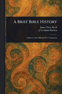 bokomslag Brief Bible History