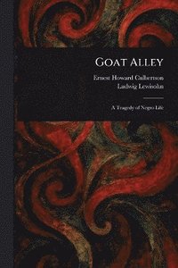 bokomslag Goat Alley