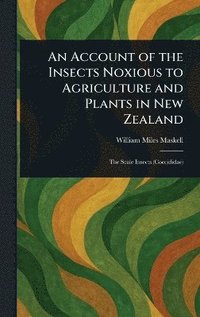 bokomslag Account of the Insects Noxious to Agriculture and Plants in New Zealand