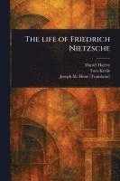 bokomslag The Life of Friedrich Nietzsche