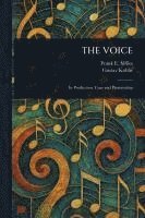 bokomslag Voice