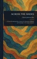 bokomslag Across the Andes