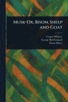 bokomslag Musk-Ox, Bison, Sheep and Goat