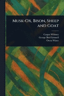 Caspar Whitney, George Bird Grinnell, Owen Wister - Musk-Ox, Bison, Sheep and Goat, Häftad