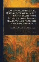 bokomslag Slave Narratives