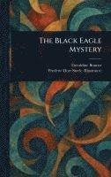 bokomslag Black Eagle Mystery