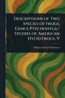 bokomslag Descriptions of Two Species of Frogs, Genus Ptychohyla / Studies of American Hylid Frogs, V