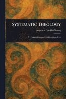 bokomslag Systematic Theology