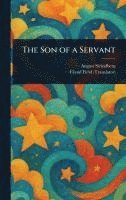 bokomslag Son of a Servant