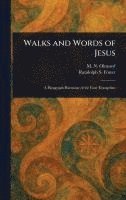 bokomslag Walks and Words of Jesus