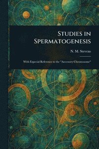 bokomslag Studies in Spermatogenesis