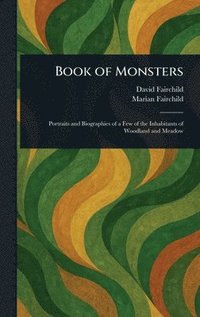 bokomslag Book of Monsters