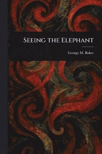 bokomslag Seeing the Elephant