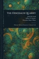 bokomslag The Dinosaur Quarry