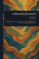 bokomslag A Broken Journey