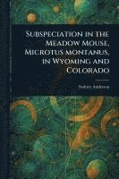 bokomslag Subspeciation in the Meadow Mouse, Microtus Montanus, in Wyoming and Colorado