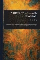 bokomslag History of Sumer and Akkad