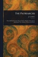 bokomslag Patriarchs