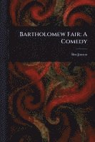 bokomslag Bartholomew Fair