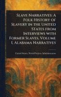 bokomslag Slave Narratives