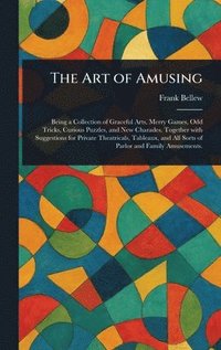 bokomslag Art of Amusing