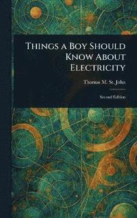 bokomslag Things a Boy Should Know About Electricity