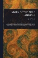 Story of the Bible Animals 1