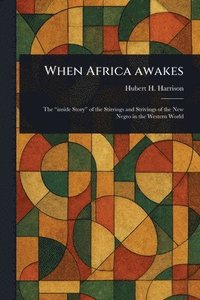 bokomslag When Africa Awakes