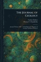 bokomslag The Journal of Geology