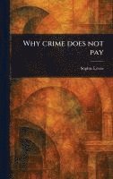 bokomslag Why Crime Does Not Pay