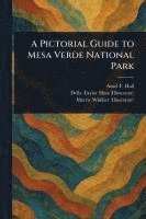 bokomslag A Pictorial Guide to Mesa Verde National Park