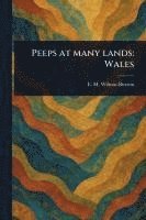 bokomslag Peeps at Many Lands