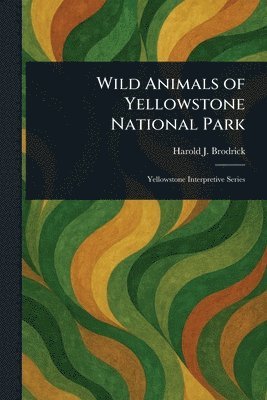 bokomslag Wild Animals of Yellowstone National Park