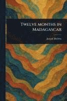 bokomslag Twelve Months in Madagascar