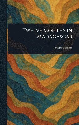 bokomslag Twelve Months in Madagascar